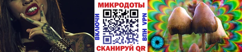 Псилоцибиновые грибы мицелий  магазин продажи   Электросталь 