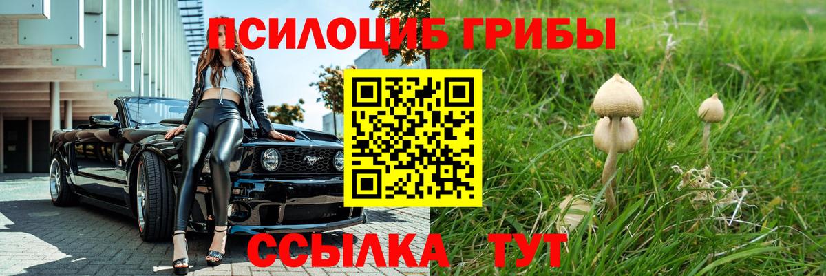 Галлюциногенные грибы прущие грибы Электросталь