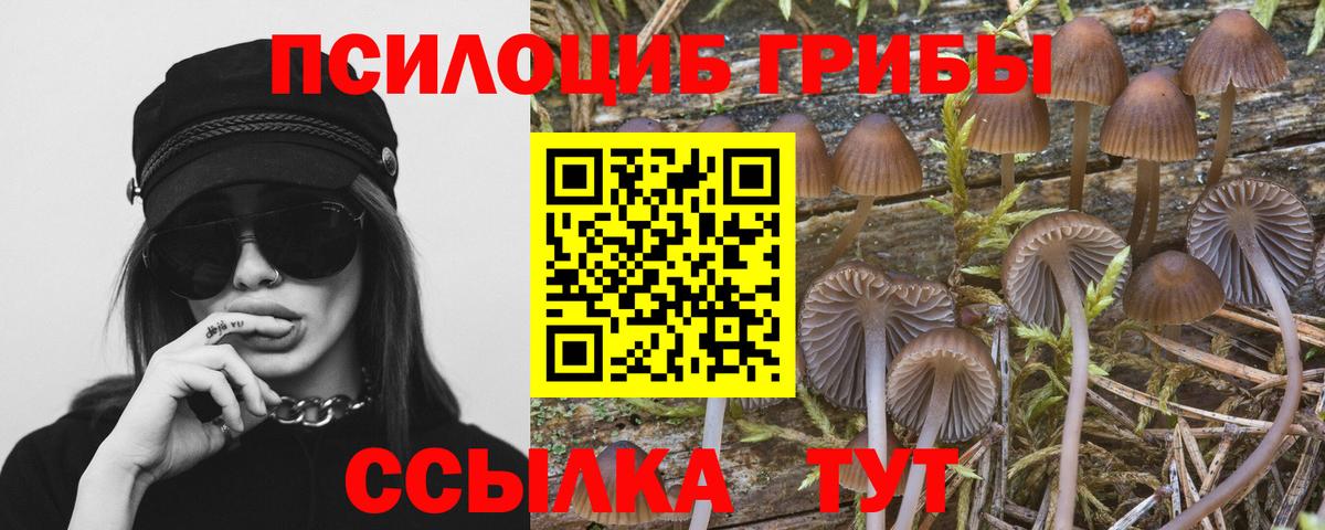 Галлюциногенные грибы Cubensis Электросталь