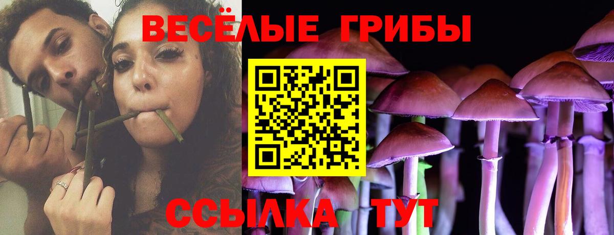 Псилоцибиновые грибы мицелий  Вход с VPN  Электросталь  закладки  Галлюциногенные грибы Magic Shrooms 